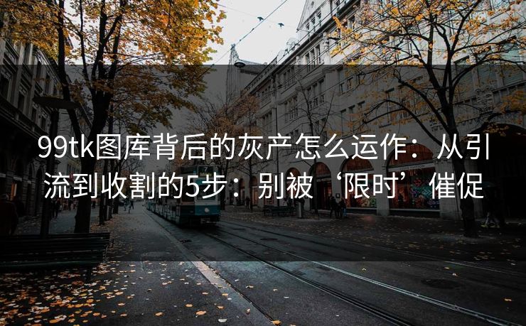 99tk图库背后的灰产怎么运作：从引流到收割的5步：别被‘限时’催促
