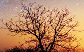 爱游戏真假入口怎么分？我做了五秒判断，一眼就明白