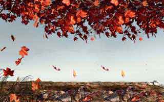 澳门六合彩相关页面突然换域名？这往往是频繁换马甲引流：你能做的第一步是这个