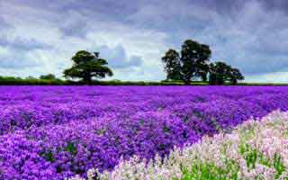 你以为爱游戏官网只是个入口，其实它可能在做假安装包分流