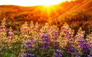 49图库资料中心那张表一对照，抢七大战赛前发布会一句话埋雷