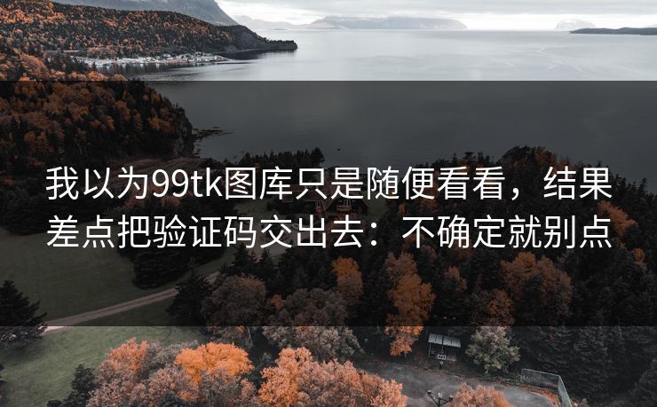 我以为99tk图库只是随便看看，结果差点把验证码交出去：不确定就别点
